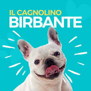 Il cagnolino birbante