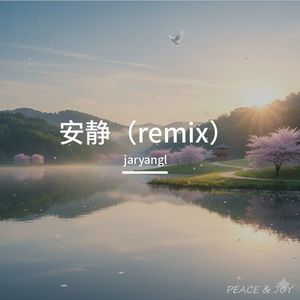 安静(Remix)