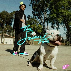 Soul Stones (feat. S.R.)