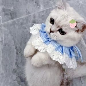 歪歪超-你的crush降临了吗