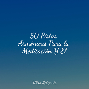 Florecimiento Del Amor