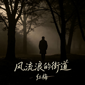 风流浪的街道