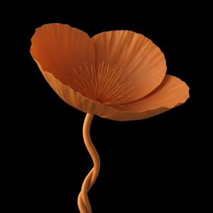 Blind Papaver
