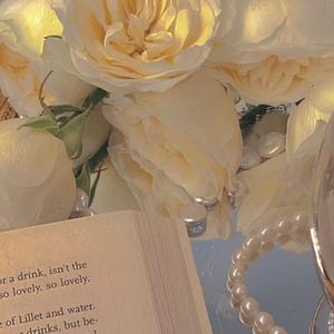 一笑倾城 （cover汪苏泷）