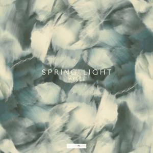 Spring Light