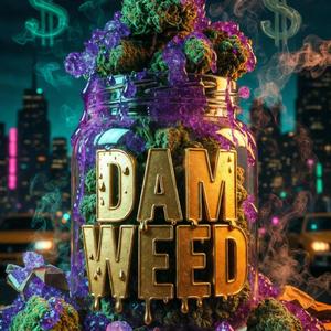Dam Weed Got Me Thinking I Can Fold Big Man