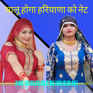 चालू होगा हरियाणा को नेट