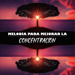 Melodía Para Mejorar La Concentración