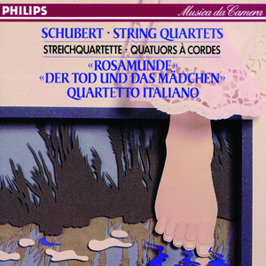 String Quartet No.14 in D minor D.810 - Death and the Maiden:1. Allegro