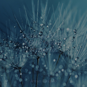 Aislamiento A Distancia