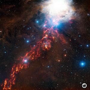 Dope Kicks (Original Mix)