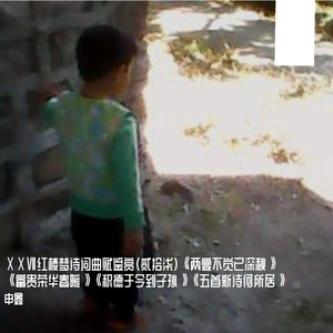 ⅩⅩⅦ红楼梦诗词曲赋鉴赏（贰拾柒）两宴不觉已深秋、富贵荣华春暖、积德于今到子孙、五首新诗何所居