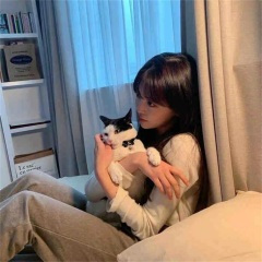 听见你说朝阳起又落