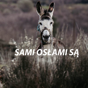 Sami Osłami Są