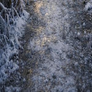 Życie nie pyta kiedy masz siłę