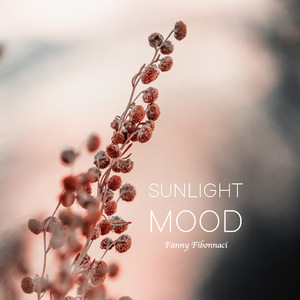 World of My Obsession