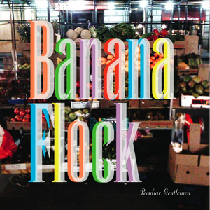 Sunny (feat. She Keeps Bees)