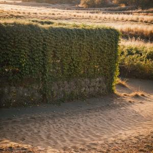 闻李太尉大举秦兵百万出征东南懦夫请缨冀申一割之用半道病还留别金陵崔侍御十九韵
