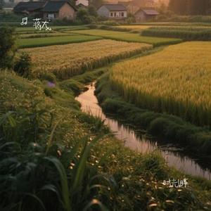 欢乐谣 (蒋龙 Remix)