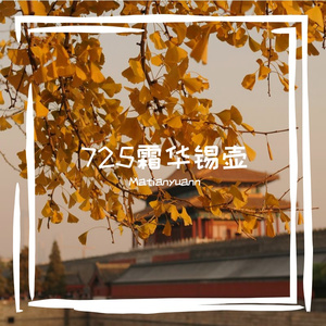 725霜华锡壶