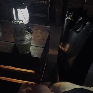 回避型人格.wav