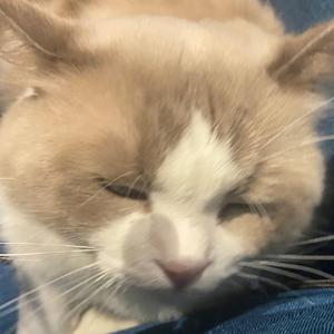 知不知道（Prod by Lv9）