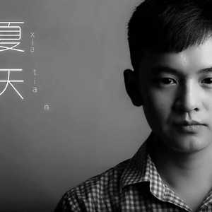 做你翅膀下的风