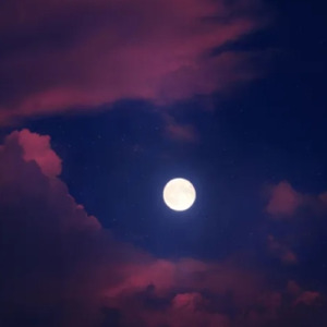 触れた瞬間の光