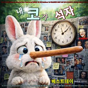 내 코가 석 자/베스트데이 싱글17 / 스포티파이 애플 아마존 아이튠즈 고음질 출시