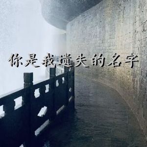 你以为你手段高明