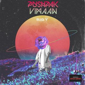 pushpak vimaan (THE LIGHT)