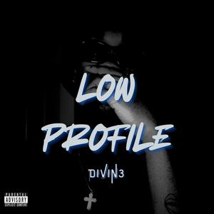 Low Profile