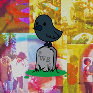 Northernlites (555bzy)