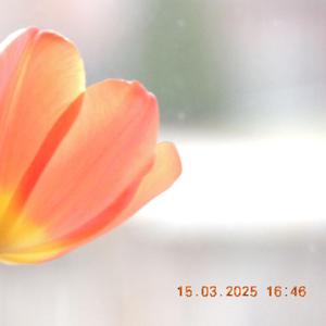 marionette (feat. rewind)