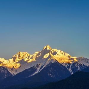 蜂后失踪的宪政