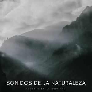 Meditación Bajo La Lluvia