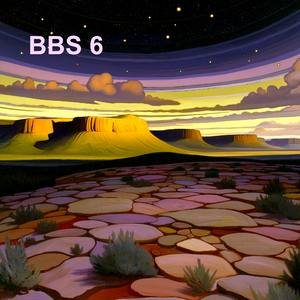 BBS 6