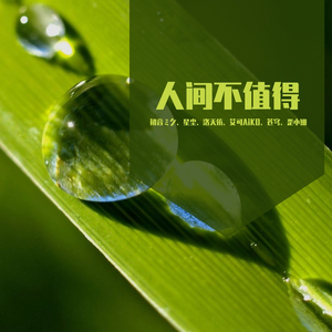 人间不值得（洛天依）