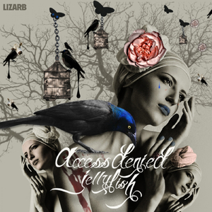 Carukia Barnesi (Original Mix)