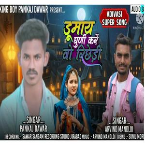 Dhumai Ma Kare (feat. Pankaj Dawar & Arvind Mandloi)