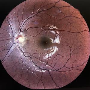 Remorse (feat. Spiderwick)