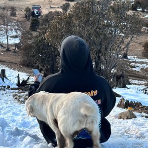 主线任务(prod.by Morrow x IOF)