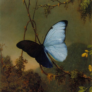 爱上十七岁的爵士嘻哈（prod.NORTHSIDEBLICK）