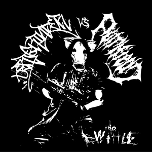 Lets Start the Fight (Introduction)