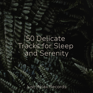 Chrononaut's Odyssey