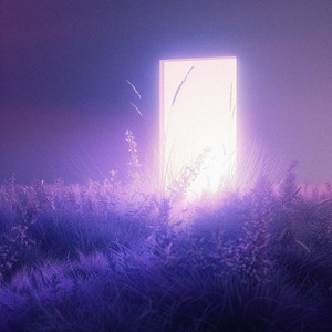 这世界不停开花