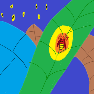 나는 반딧불 (따효니 Ver.)