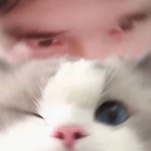 世人万千再难遇你