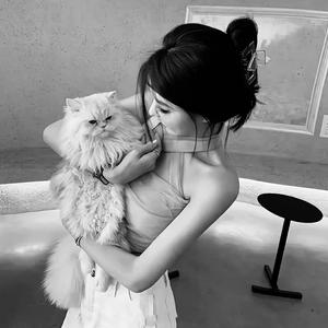 大美青海摇（BGM版）