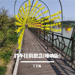 思念挡不住(唢呐dj版)